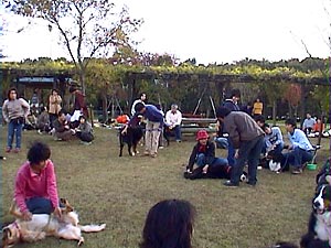 �w�����A���܂�Ȃ�����x